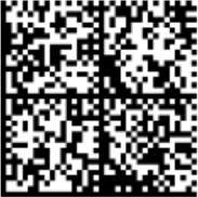 Data Matrix - GS1 Digital Link